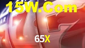 Programa VIP 65X